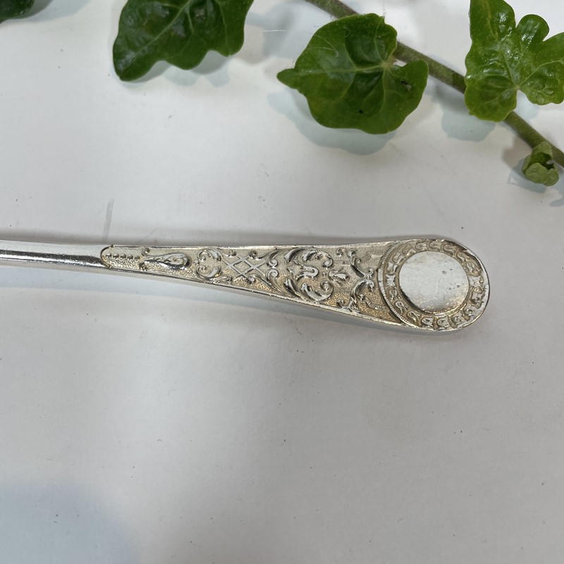 A Victorian Silver Plated Berry Serving Spoon-collier-antiques-3-img-1254-3-main-637937506241195242.jpeg