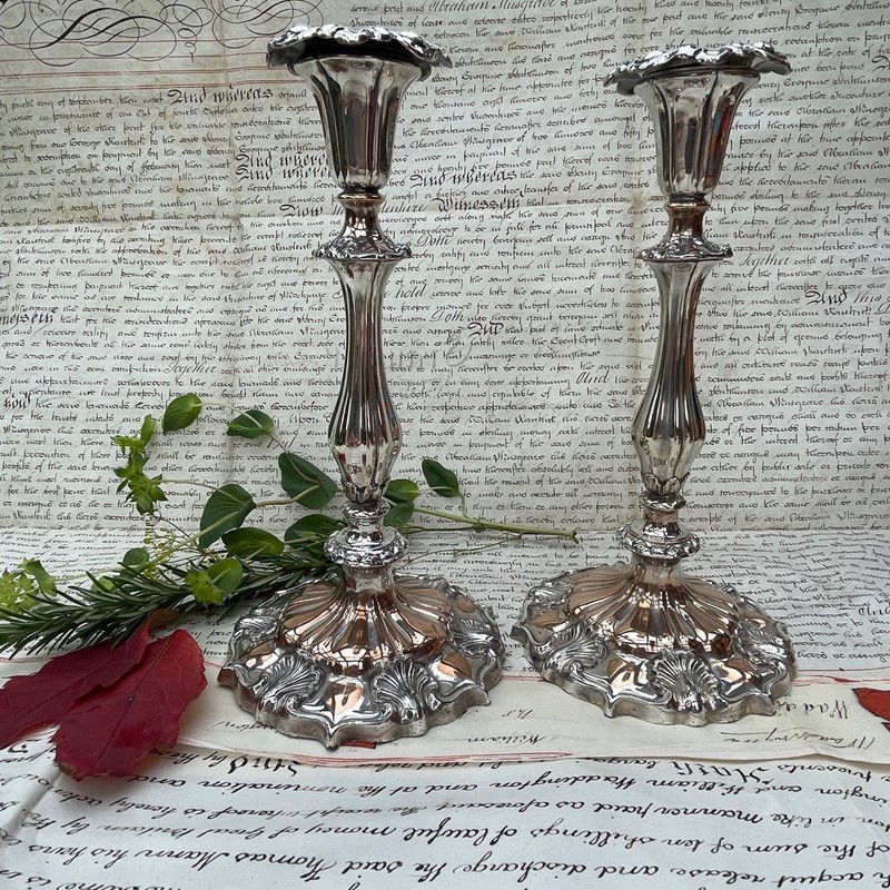 A Pair of Mid 19th Century Candlesticks-collier-antiques-4-5da2a8f5-40f3-4dde-9836-6fbc480c82ce-main-638021825244342061.jpeg
