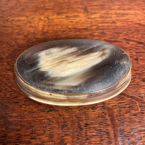 Horn Snuff Box