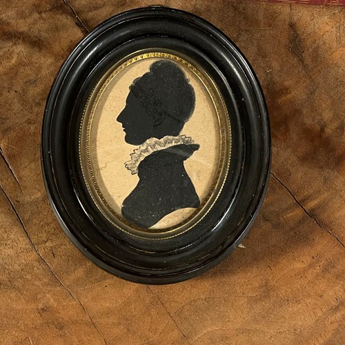Silhouette Of A Young Lady