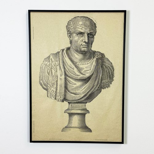 Large Marble Bust Etching Of A Roman Consul