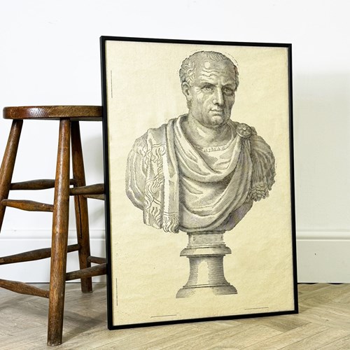 Large Marble Bust Etching Of A Roman Consul