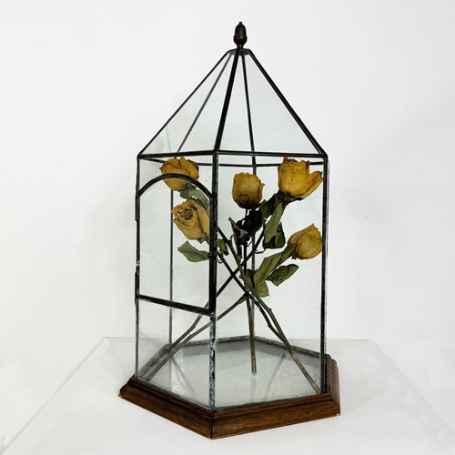 Antique Early 20Th Century Terrarium