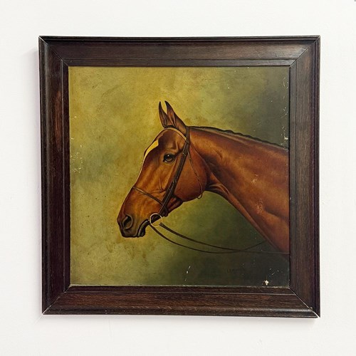 Large 1910 Horse Portrait Oil Painting Signed