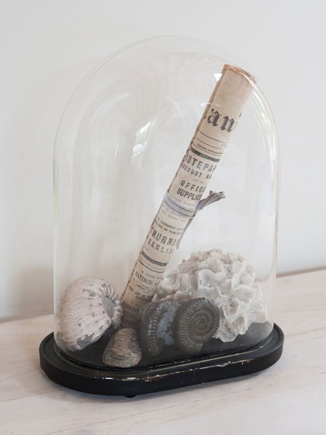  Vintage Display Dome with Fossil collection-decorative-antiques-uk-Fos3_main_636011031690558351.jpg