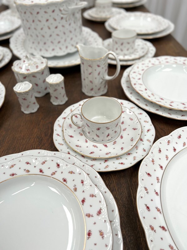 Rosenthal Dinner Service And Matching Coffee Set-decorative-collective-selection-duchess-rose-antiques-89734512-b217-482f-9121-e998631fd8cf-main-637844940676521818-large-main-638372236048292176.jpeg