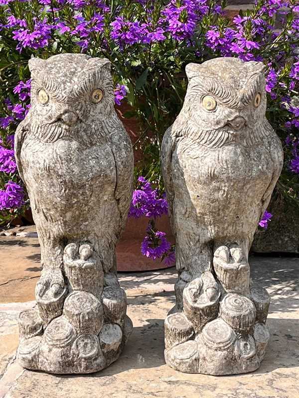 Pair Of Owls-decorative-collective-selection-hobson-may-collection-img-7249-main-637987458514628724-large-main-638132733611638169.jpg