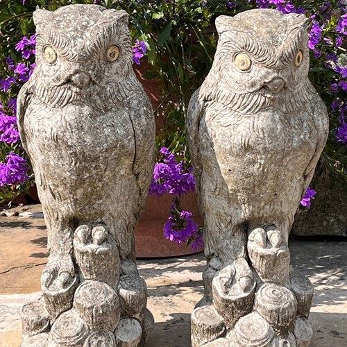 Pair Of Owls