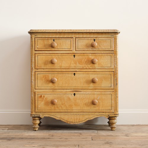 19Th Century Pine Chest Of Drawers In Original Paint