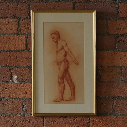 20Th Century Male Nude Study