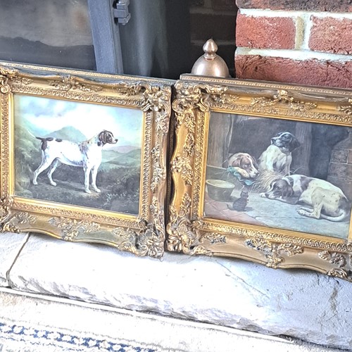 Pair of beautifully framed dog prints.
