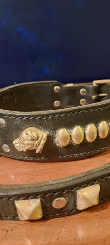 Embellished brass and leather dog collar and lead-dick-liddy-antiques-20221028-225221-main-638025946580180285.jpg