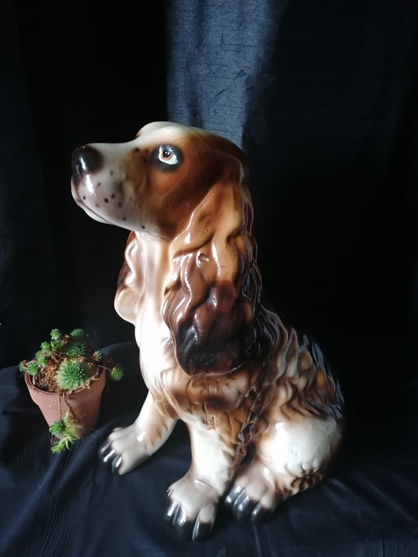 Beautiful large painted Spaniel dog-dick-liddy-antiques-img-20211029-131803-main-637711107805489345.jpg