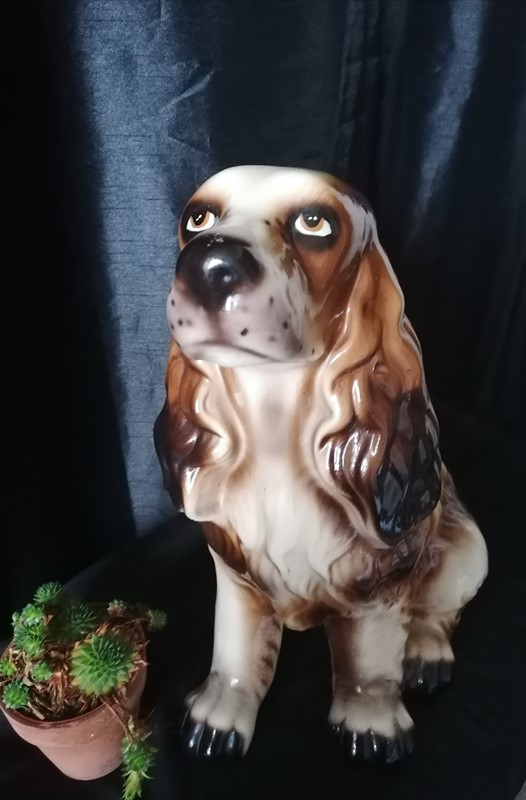 Beautiful large painted Spaniel dog-dick-liddy-antiques-img-20211029-131909-main-637711108192831689.jpg