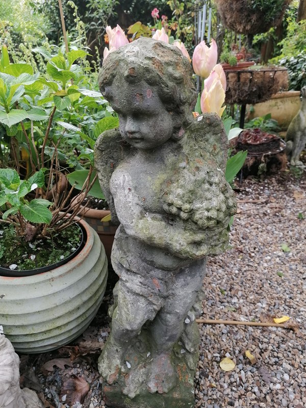 Excellent 19th century terracotta cherub. -dick-liddy-antiques-img-20220505-122406-main-637873506540346017.jpg