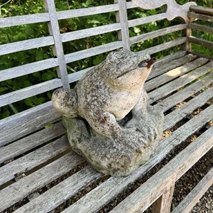Frog Fountain