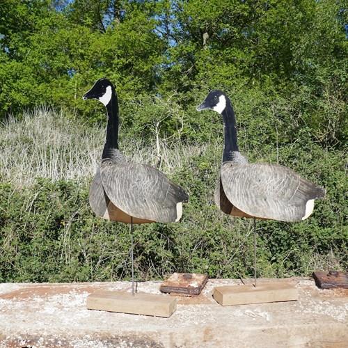 A Pair Of 1940’S Goose Decoys