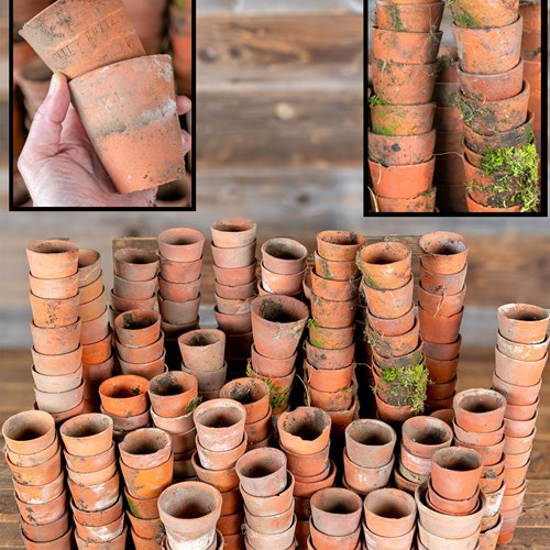 Vintage Sankey Bulwell Terracotta Plant Pots 260+