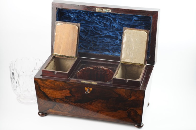 Regency Period Sarcophagus Form Rosewood Twin Compartment Tea Caddy-epilogue-one-antiques-caddy3-main-638105970065430553.jpg