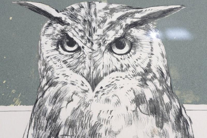 Bryan Organ, Pair Of Bird Lithographs - Peregrine Falcon And Eagle Owl-epilogue-one-antiques-dsc02887-main-638116534780623273.jpg