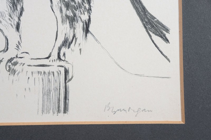 Bryan Organ, Pair Of Bird Lithographs - Peregrine Falcon And Eagle Owl-epilogue-one-antiques-dsc02890-main-638116534807341737.jpg