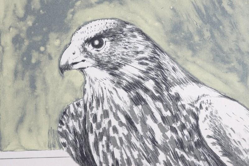 Bryan Organ, Pair Of Bird Lithographs - Peregrine Falcon And Eagle Owl-epilogue-one-antiques-dsc02892-main-638116534823435657.jpg