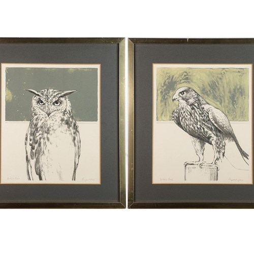 Bryan Organ, Pair Of Bird Lithographs - Peregrine Falcon And Eagle Owl
