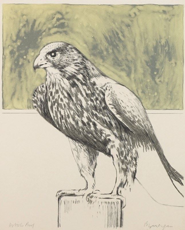Bryan Organ, Pair Of Bird Lithographs - Peregrine Falcon And Eagle Owl-epilogue-one-antiques-pic302-main-638116534882340651.jpg