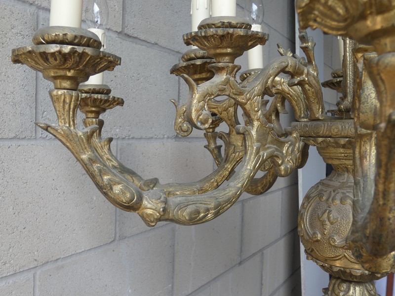 1890 solid cast brass gilded 2tier 8arm chandelier-exquisite-lighting-p1010289-main-637288764117420528.JPG