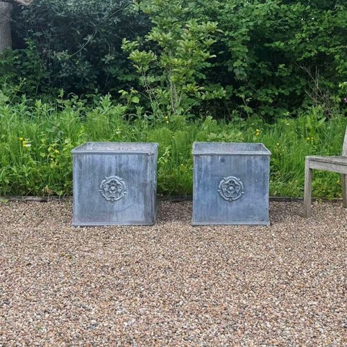 Large Lead Tudor Rose Planters