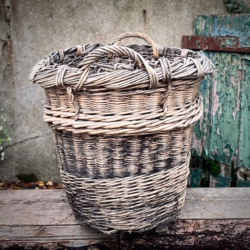 French Champagne Basket-feraland-antique-french-champagne-basket---3-main-638041090025799077.jpeg