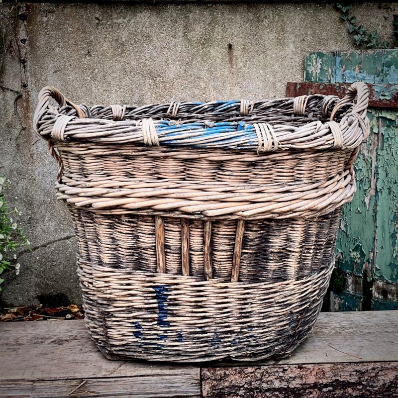 French Champagne Basket-feraland-antique-french-champagne-basket---4-main-638041090030799081.jpeg