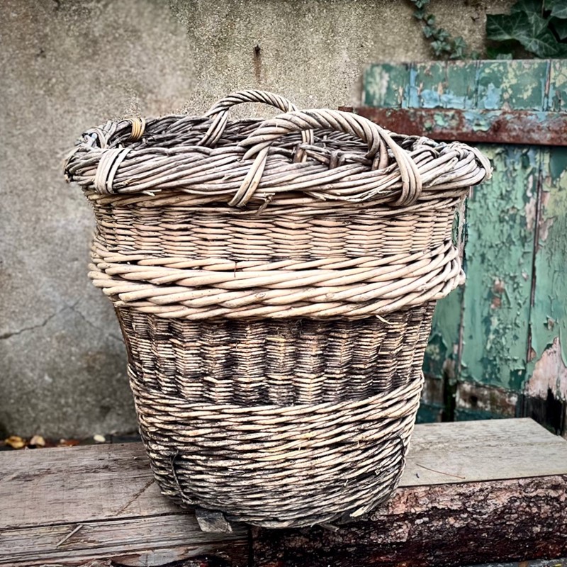 French Champagne Basket-feraland-antique-french-champagne-basket---4-main-638041097104880793.jpeg