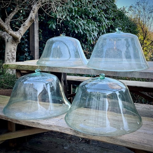 Collection Of French Melon Cloches