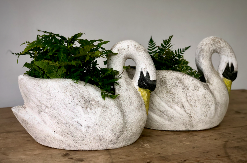 French Garden Swan Planters-feraland-antique-french-swan-planters---1-3-main-637979740567071339.png