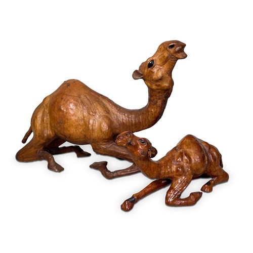 Model Leather Camel With A Foul 