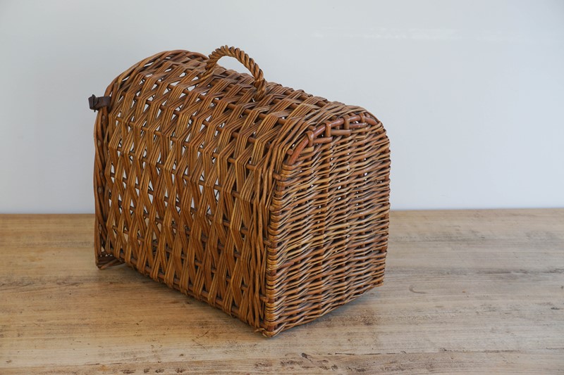 Pet carrying basket-french-affair-antiques-dsc00933-main-637741310931603987.jpg
