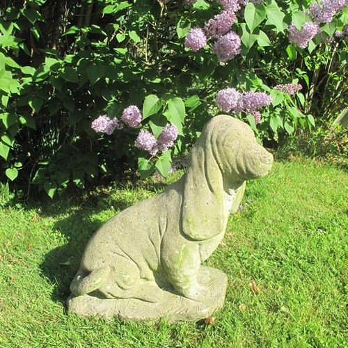 Garden Bassett Hound