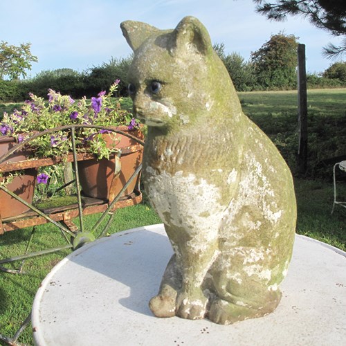 Garden Cat With Glass Eyes