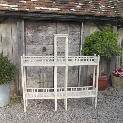 Large Antique Florists Display Stand