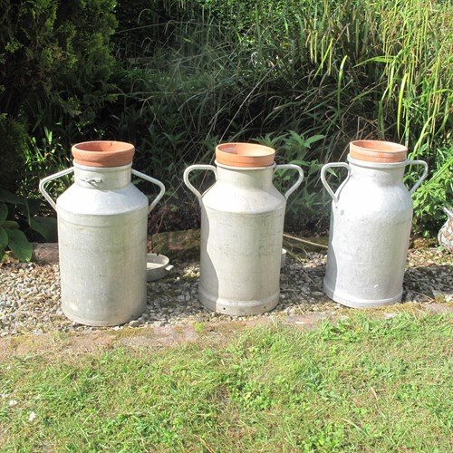 Vintage Milk Churn Planters