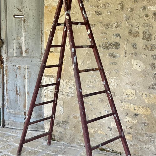 French Vintage Decorators Ladder