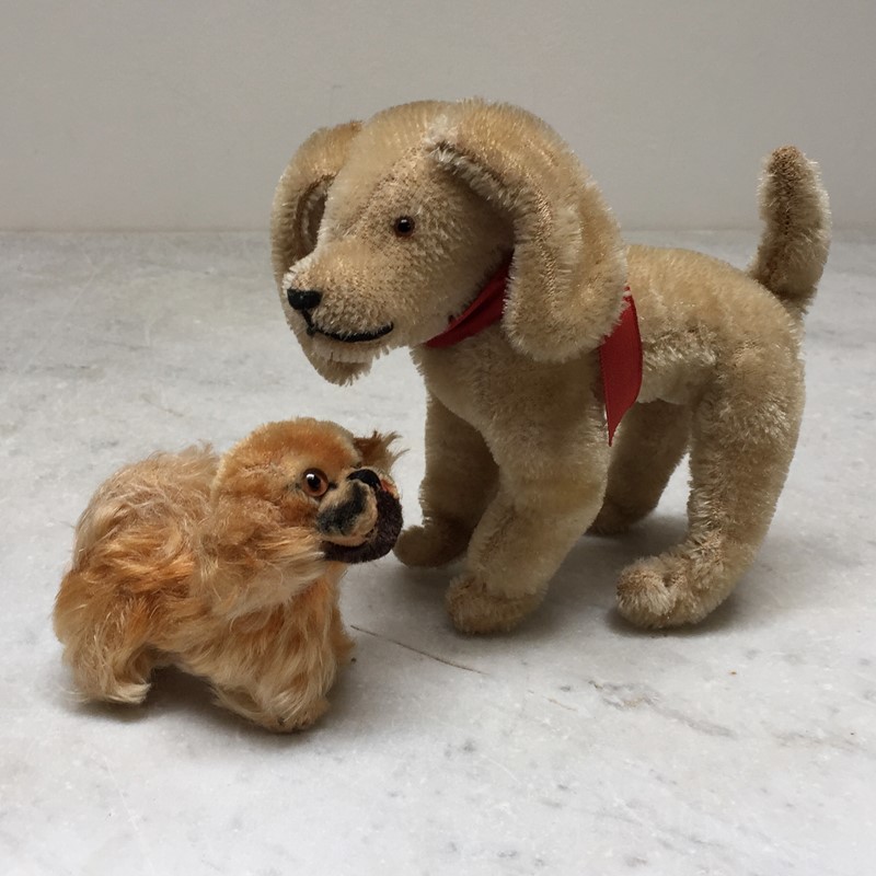 'Steiff' Pekingese Dog And Terrier-general-store-no-2-1-main-637521098827764330.JPG
