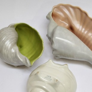 Collection Of 8 Poole Shell Vases