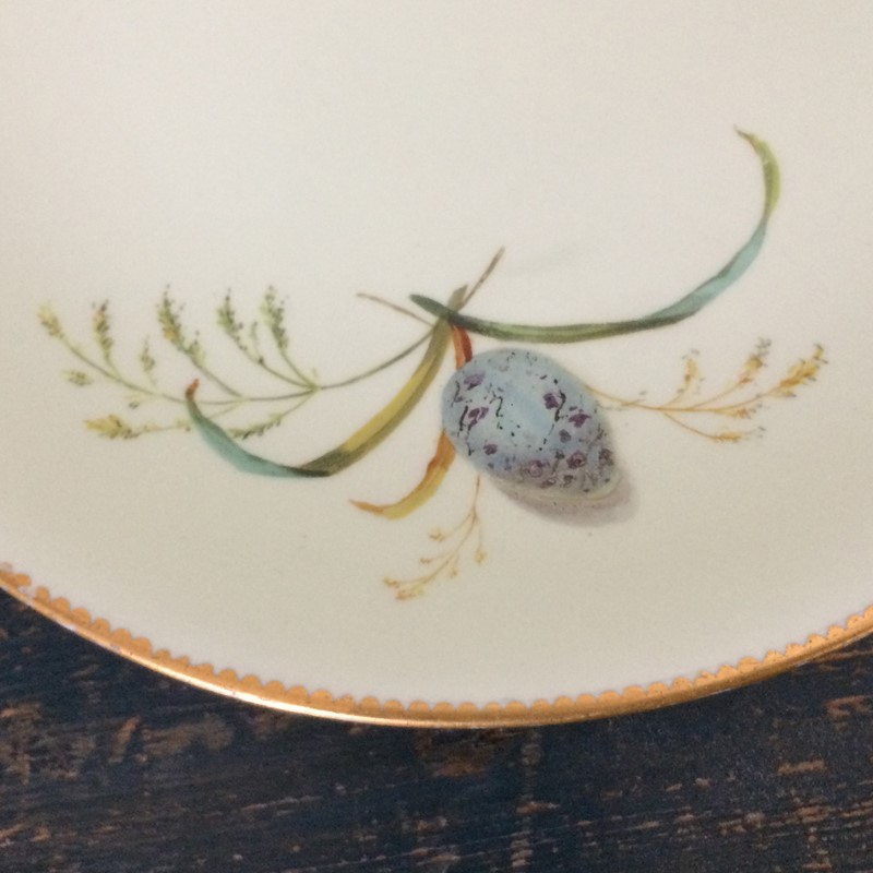 'Blackbird Eggs' 19th Century Brownfield Plate-general-store-no-2-4-main-637306775419685818.JPG