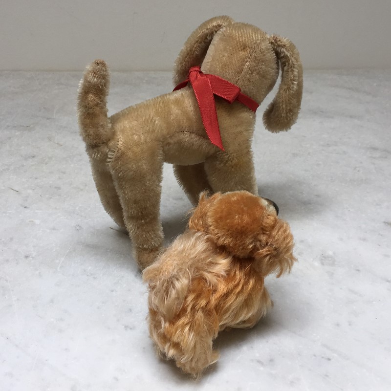  'Steiff' Pekingese Dog And Terrier-general-store-no-2-4-main-637521099183230859.JPG