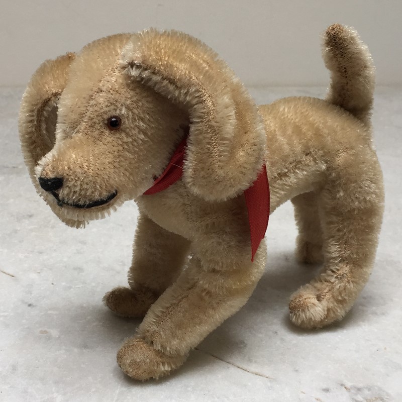  'Steiff' Pekingese Dog And Terrier-general-store-no-2-5-main-637521099247449638.JPG