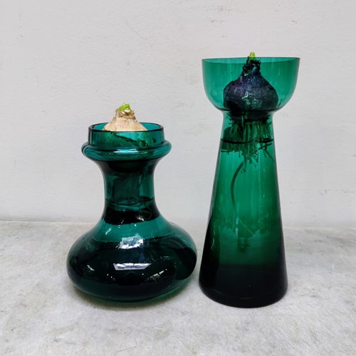 Squat Jade Green Bulb Vase