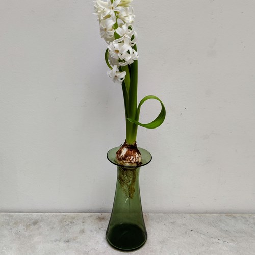 Tall Sage Green Mid Century Bulb Vase