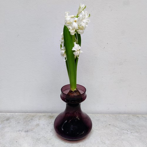 Purple 'Grape' Bulb Vase
